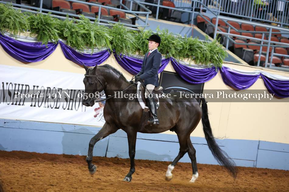Proof 19YN_05082