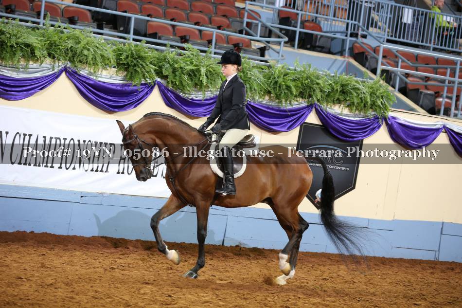 Proof 19YN_05086