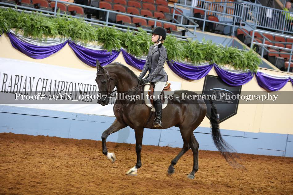 Proof 19YN_05087