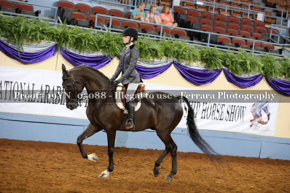 Proof 19YN_05088
