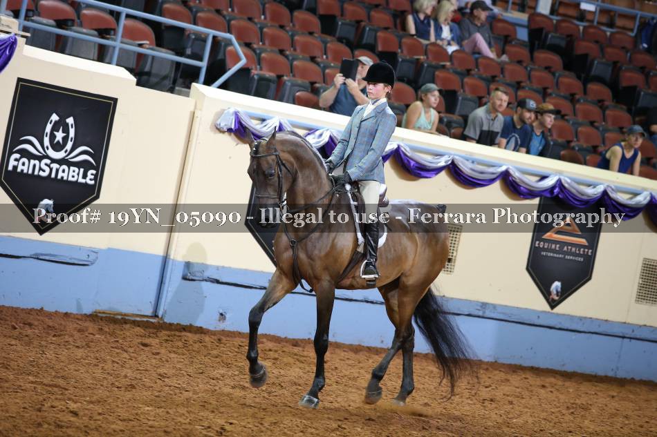 Proof 19YN_05090
