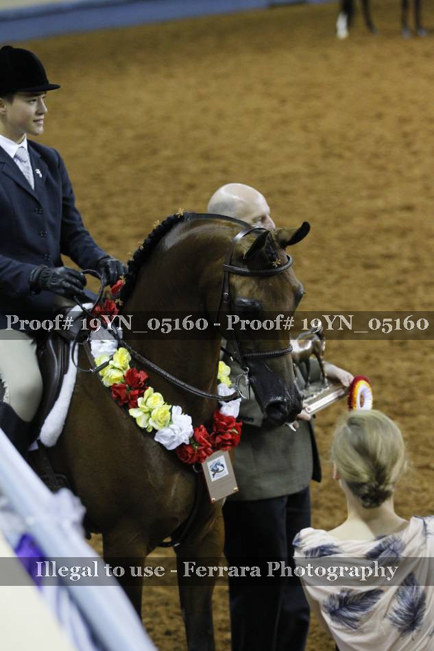 Proof 19YN_05160