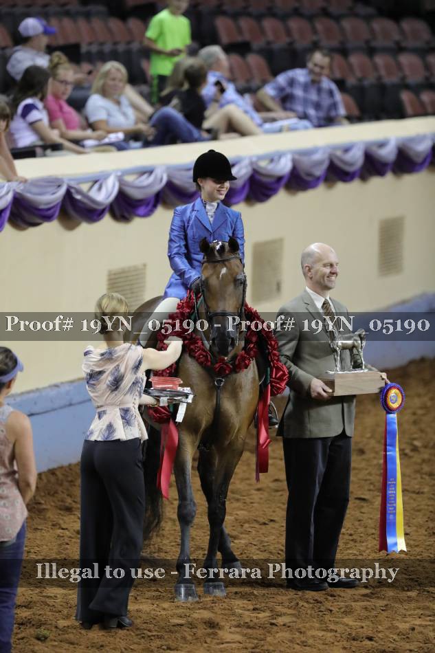 Proof 19YN_05190