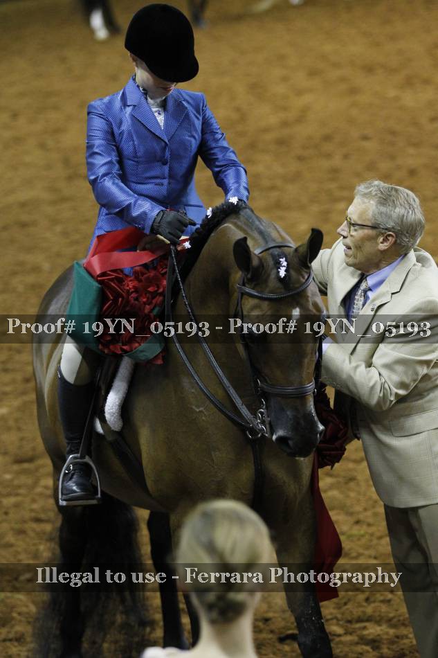 Proof 19YN_05193