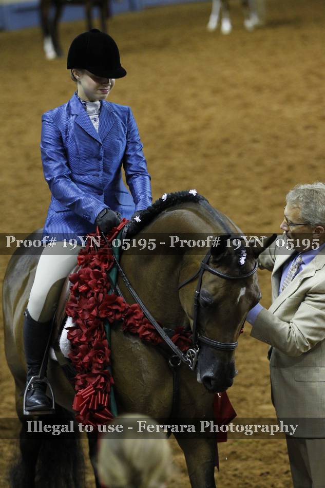 Proof 19YN_05195