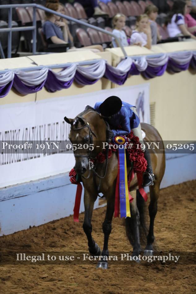Proof 19YN_05205