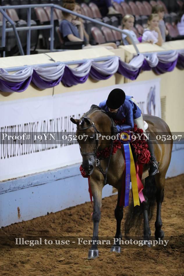 Proof 19YN_05207