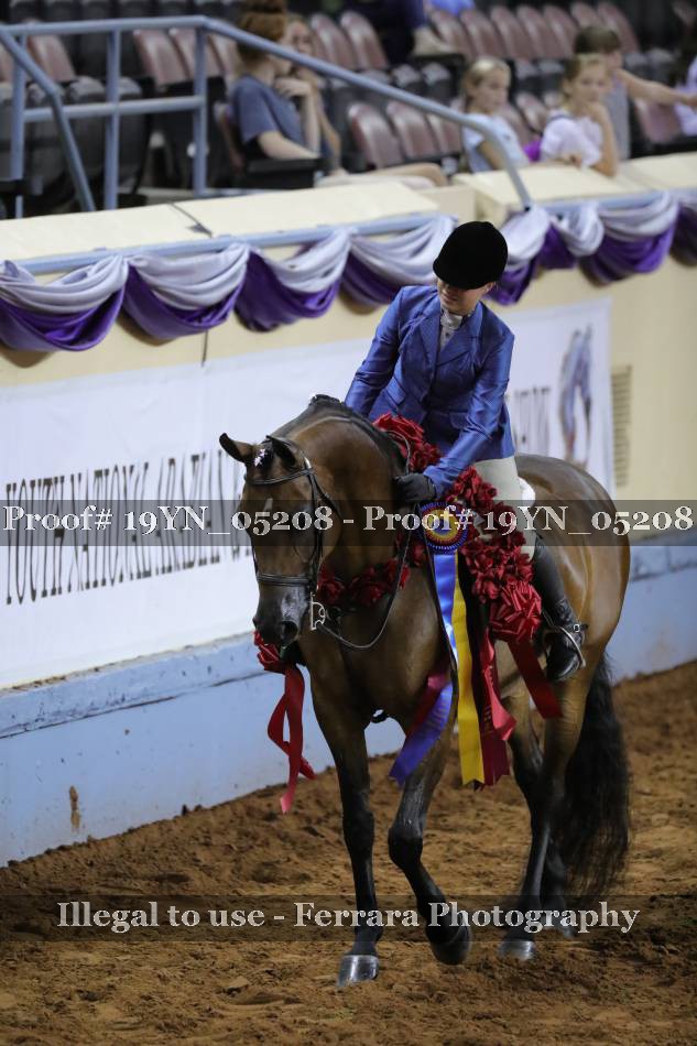 Proof 19YN_05208