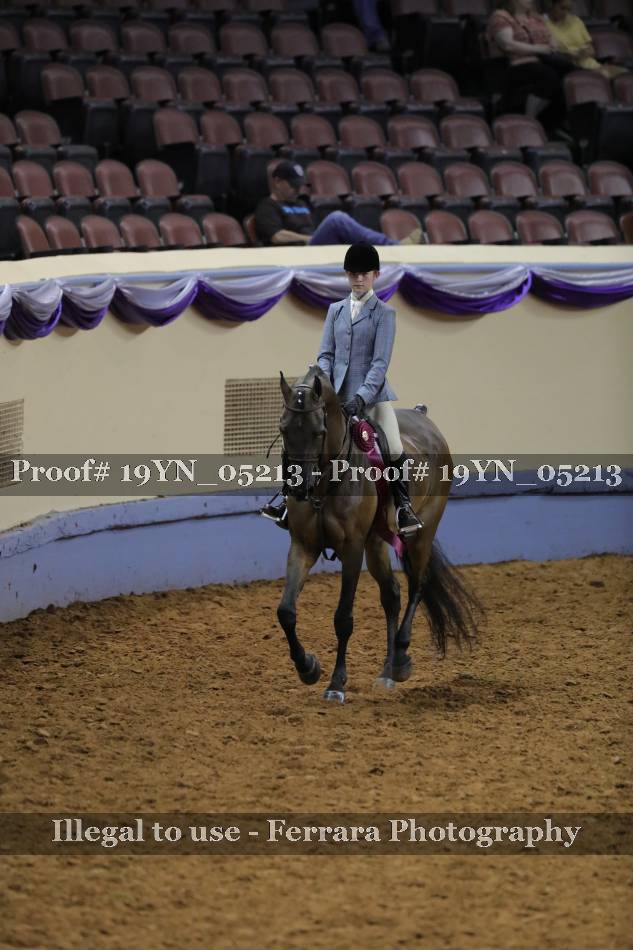Proof 19YN_05213