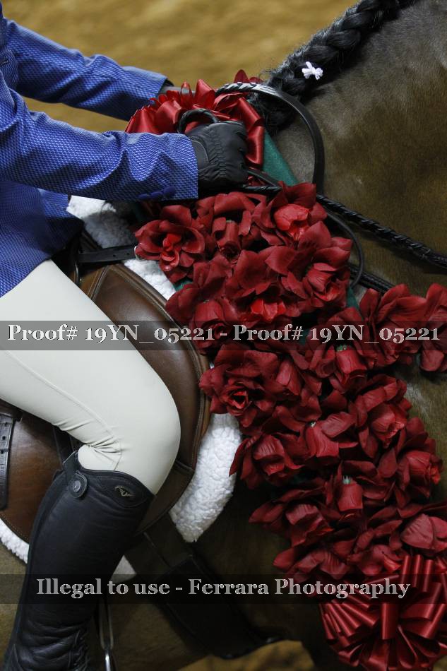 Proof 19YN_05221