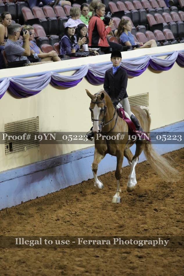 Proof 19YN_05223
