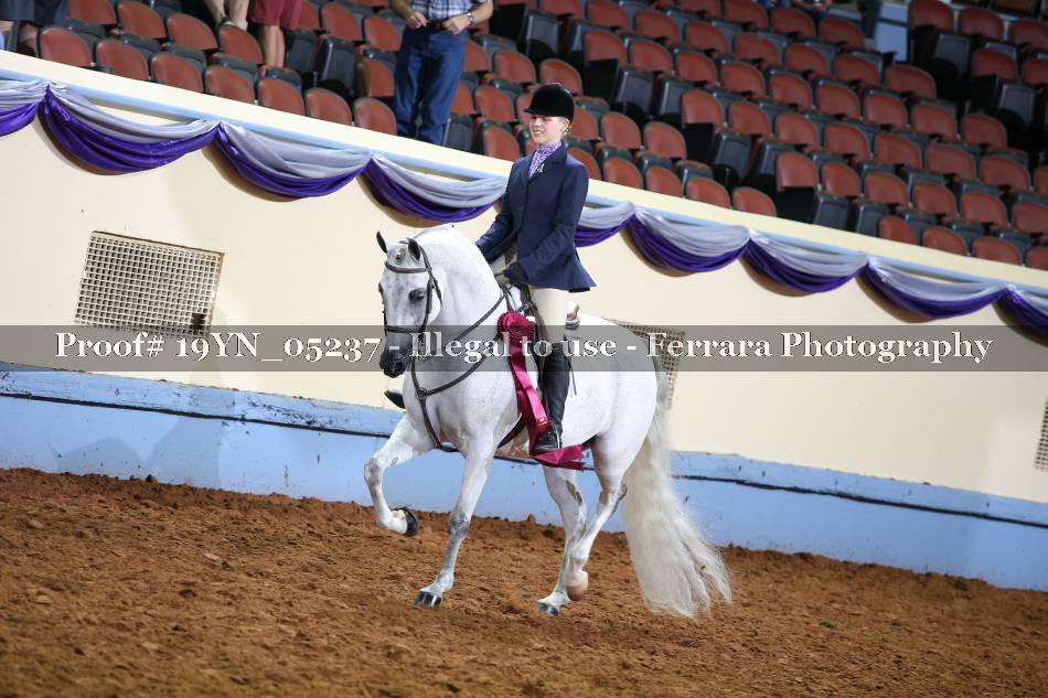 Proof 19YN_05237