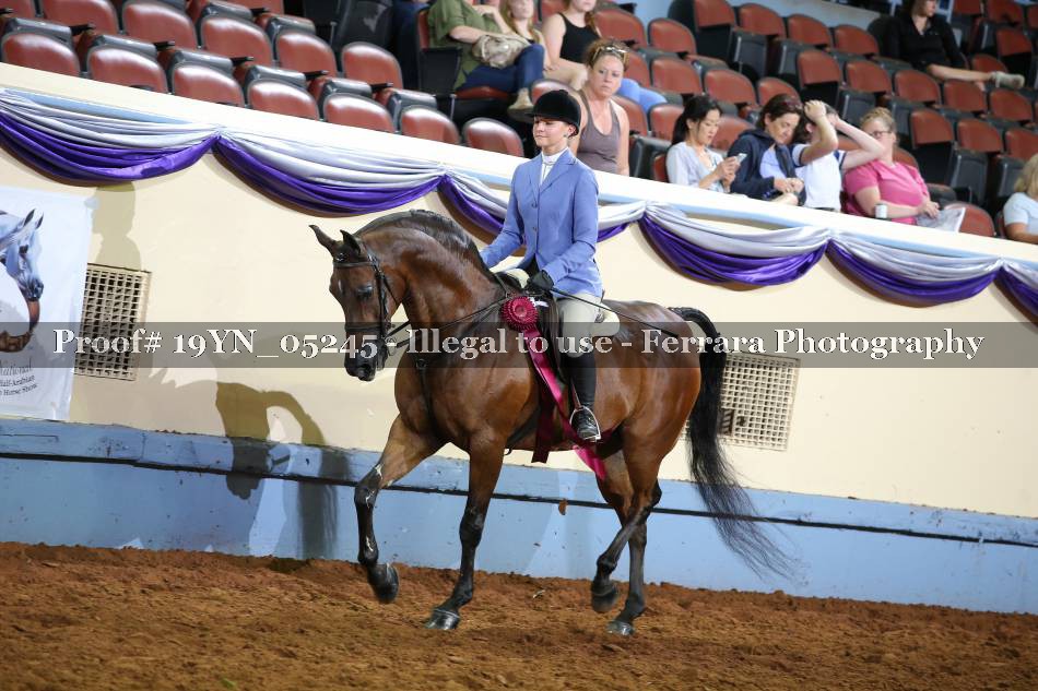 Proof 19YN_05245