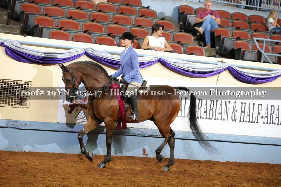 Proof 19YN_05247