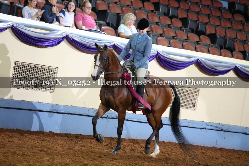 Proof 19YN_05252