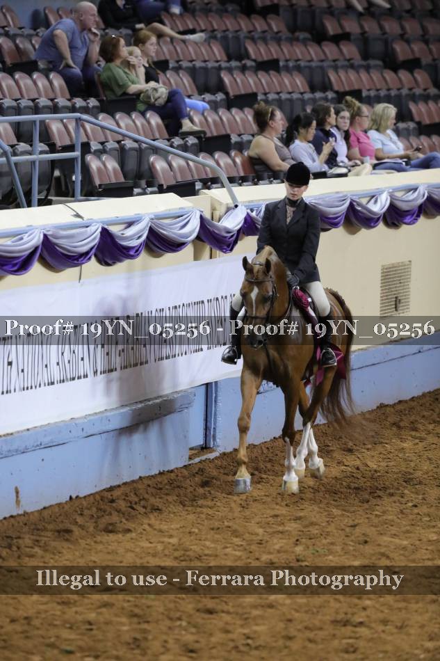Proof 19YN_05256