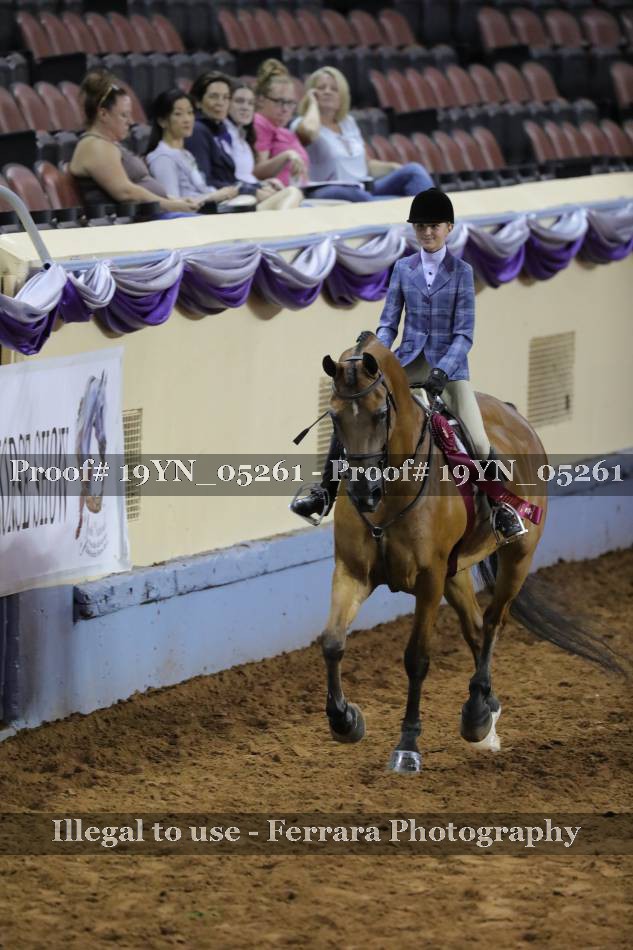 Proof 19YN_05261