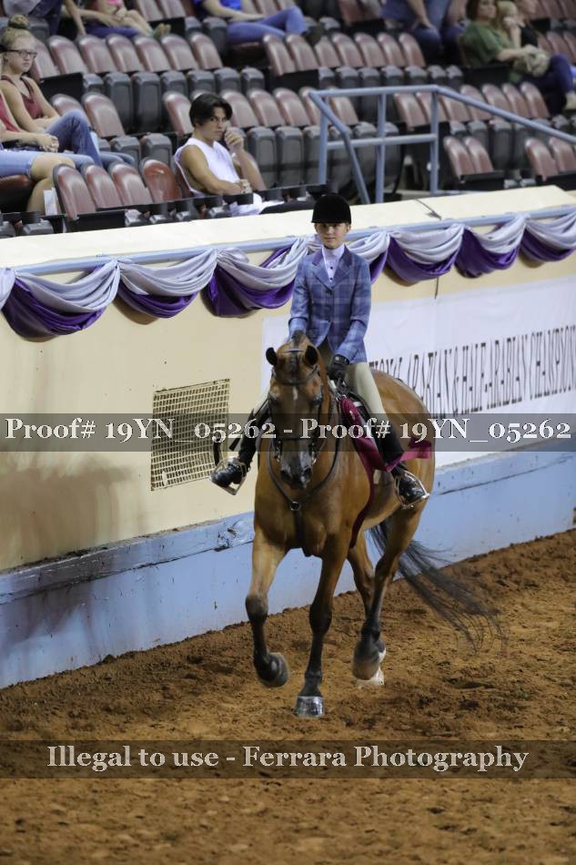 Proof 19YN_05262