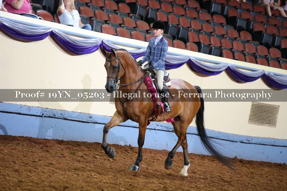 Proof 19YN_05263