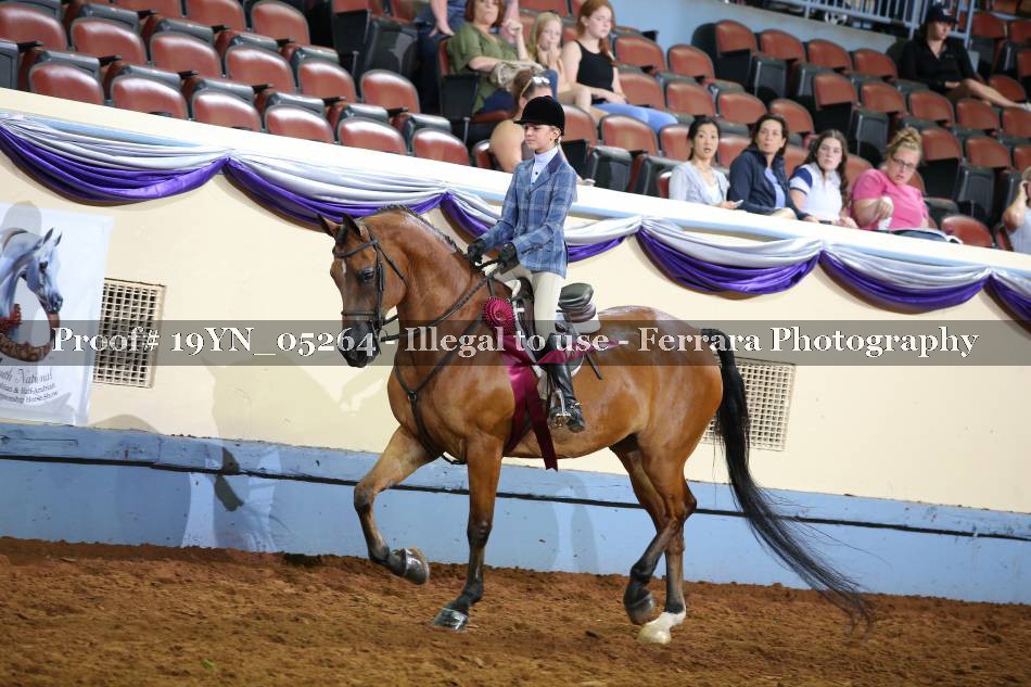 Proof 19YN_05264