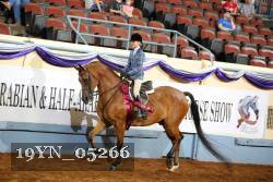 19YN_05266 proof