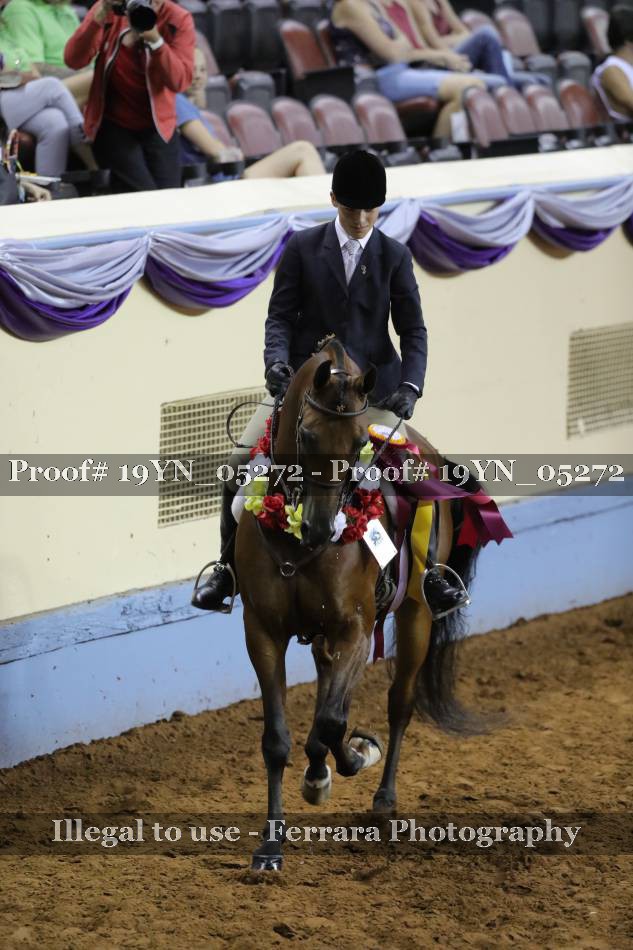 Proof 19YN_05272