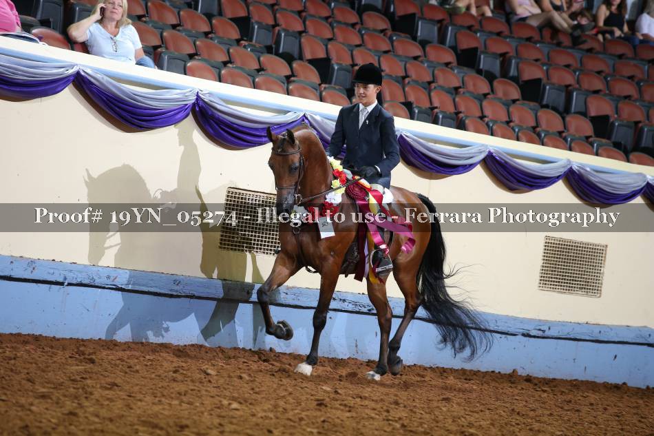 Proof 19YN_05274