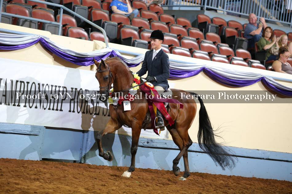 Proof 19YN_05275