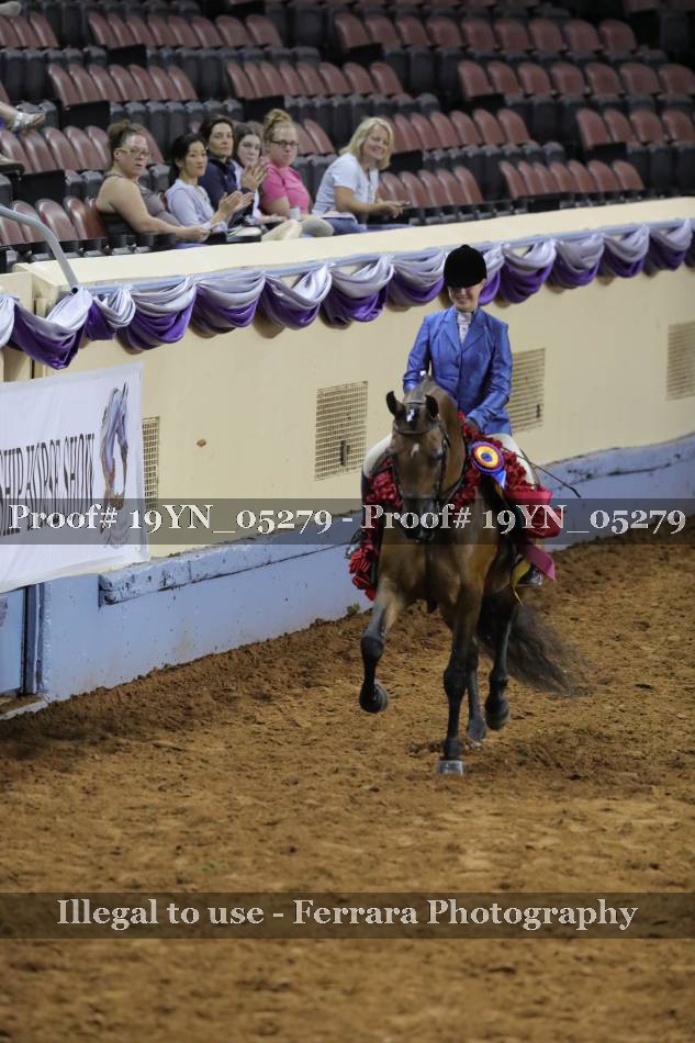 Proof 19YN_05279