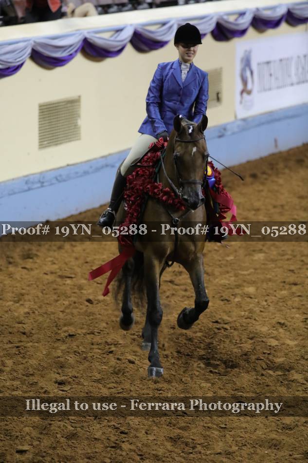Proof 19YN_05288