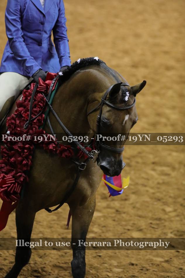 Proof 19YN_05293
