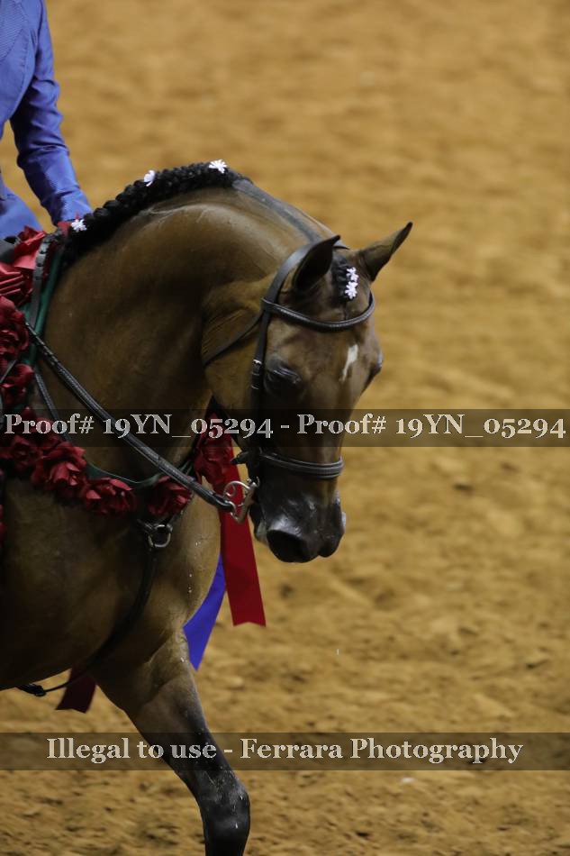 Proof 19YN_05294
