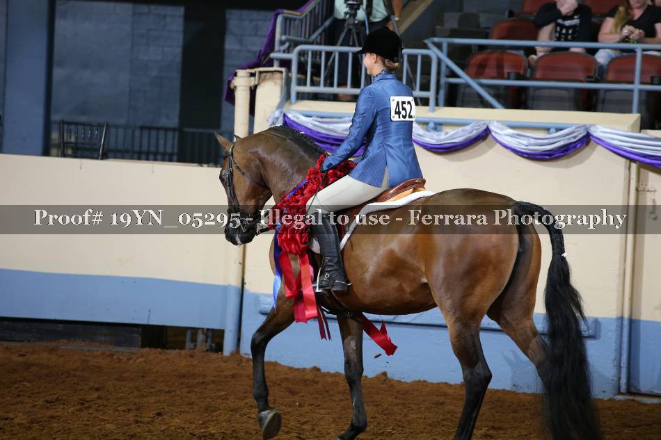Proof 19YN_05295