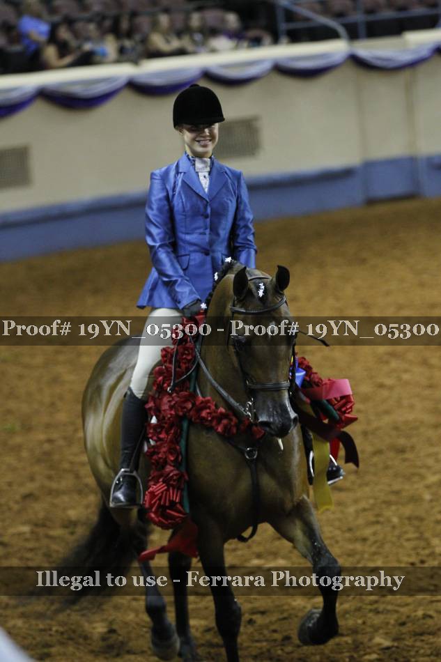 Proof 19YN_05300
