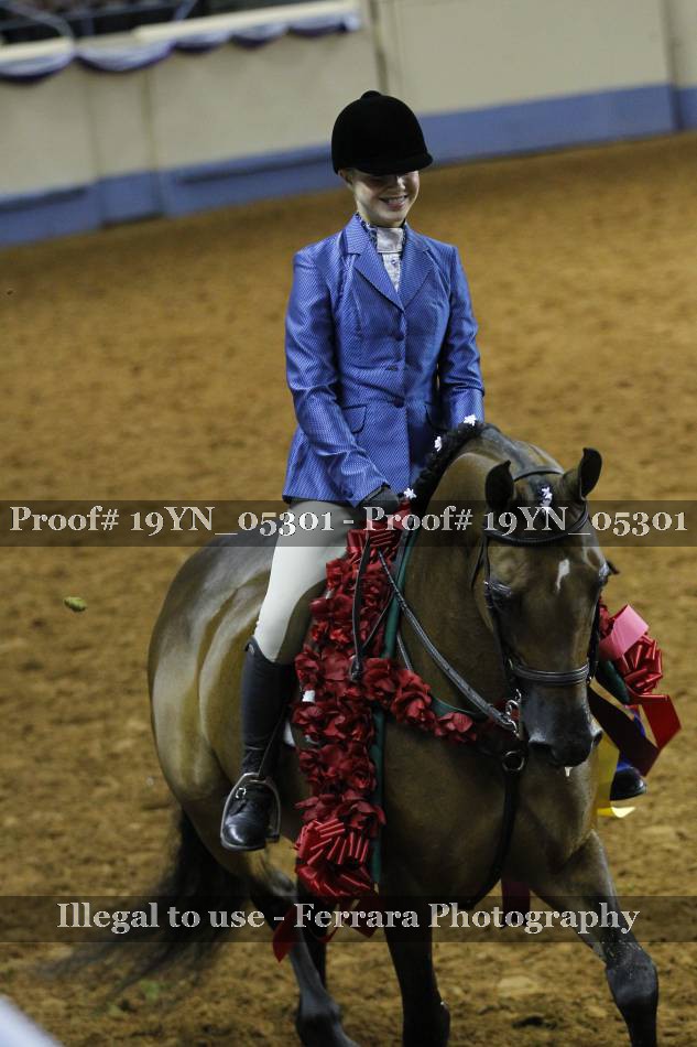 Proof 19YN_05301