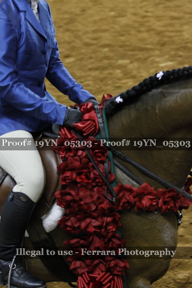 Proof 19YN_05303