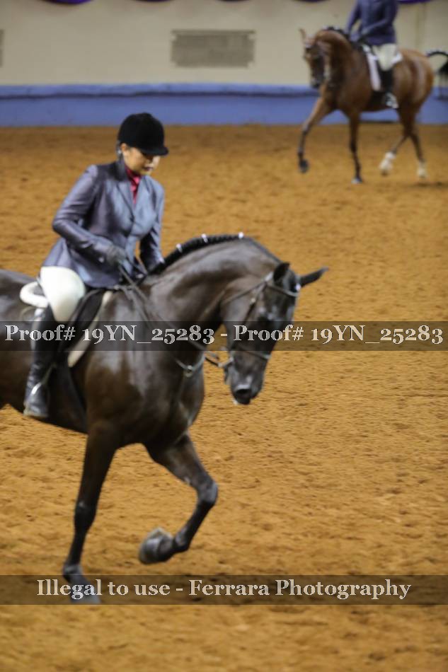 Proof 19YN_25283