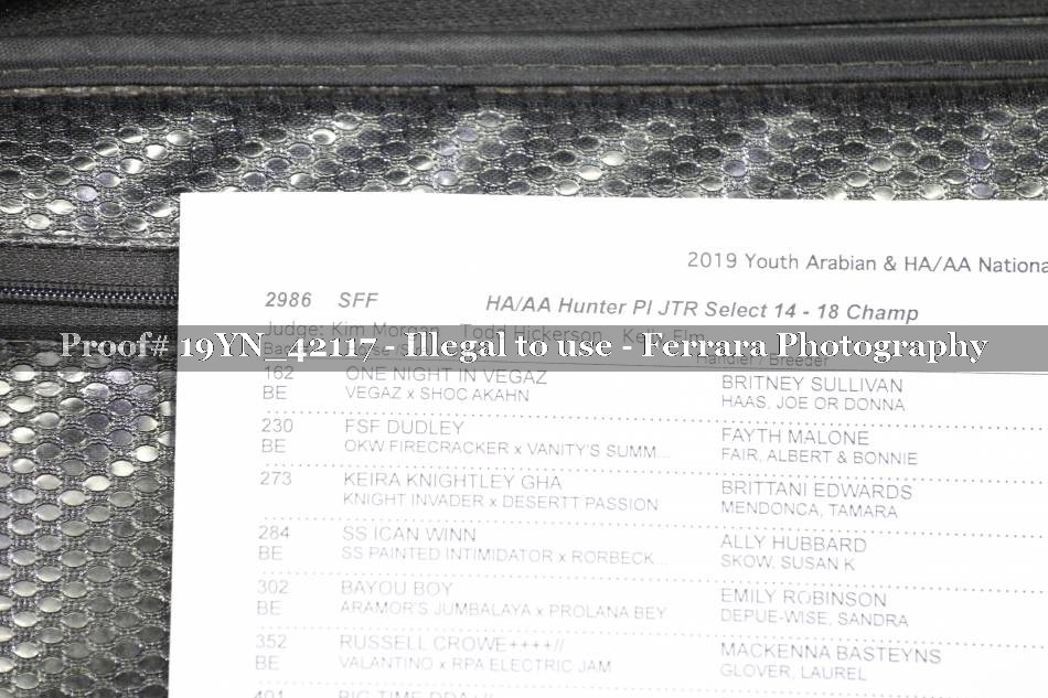 Proof 19YN_42117