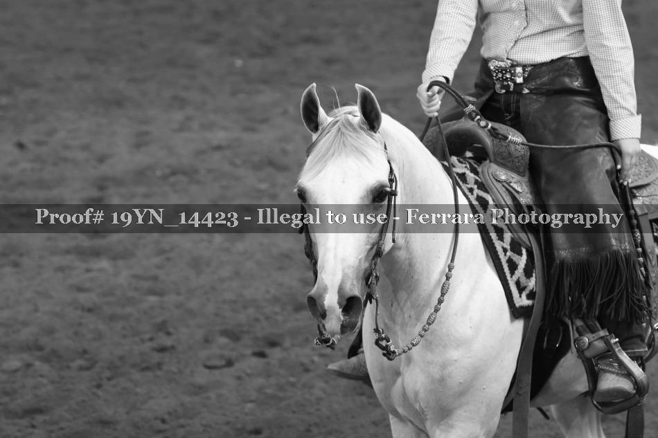Proof 19YN_14423