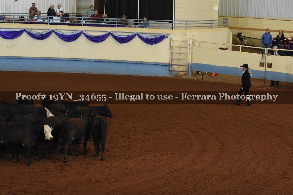 Proof 19YN_34655