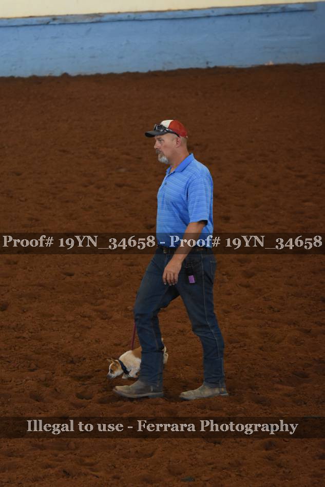 Proof 19YN_34658
