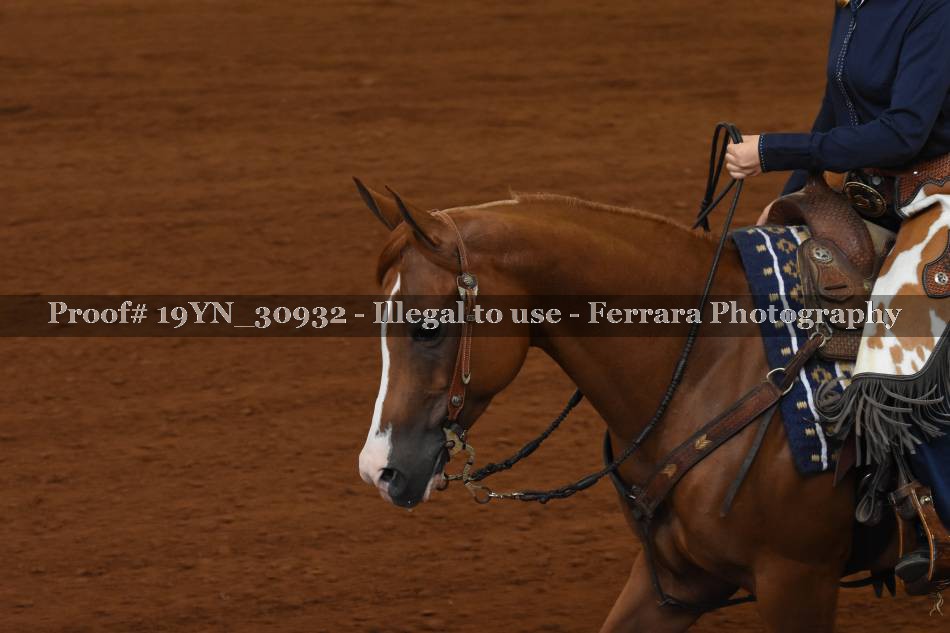 Proof 19YN_30932