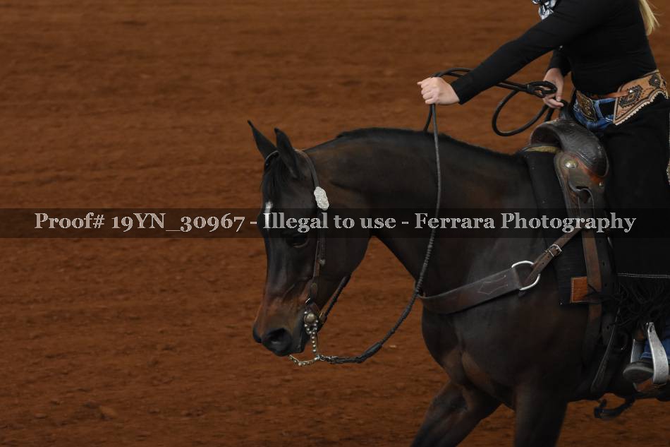 Proof 19YN_30967