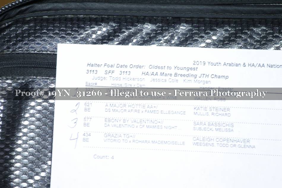 Proof 19YN_31266