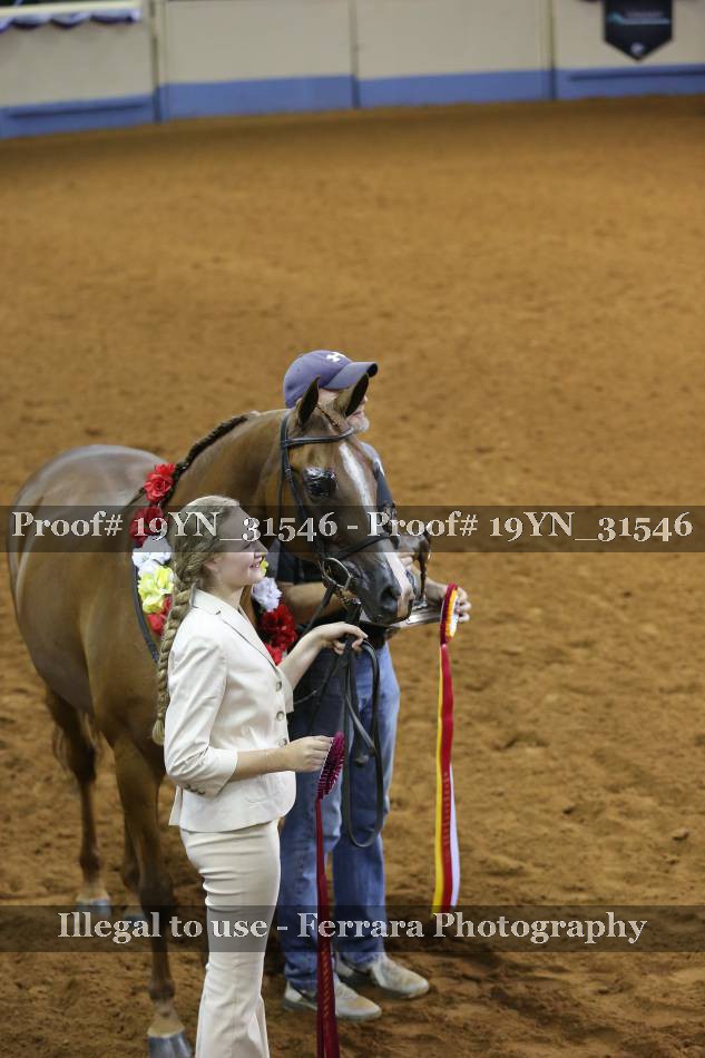 Proof 19YN_31546