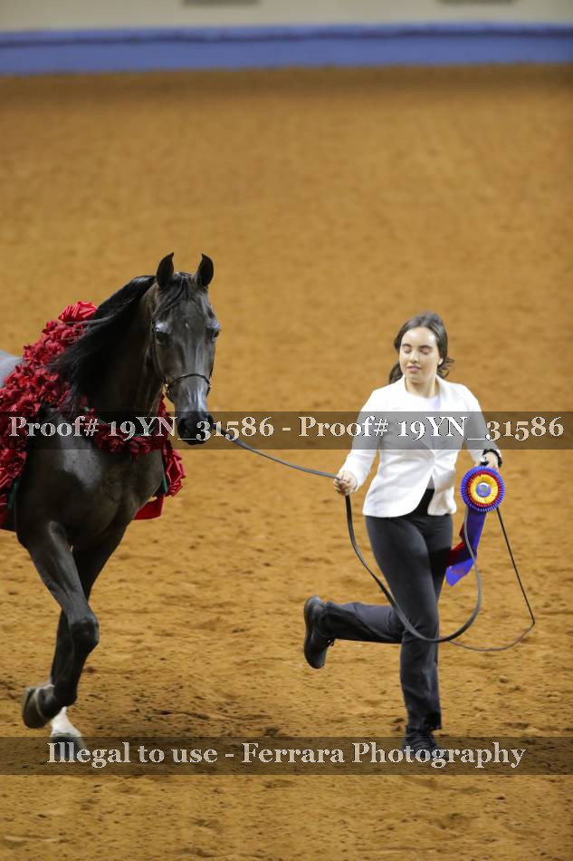 Proof 19YN_31586