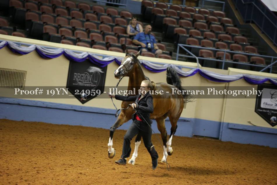 Proof 19YN_24959