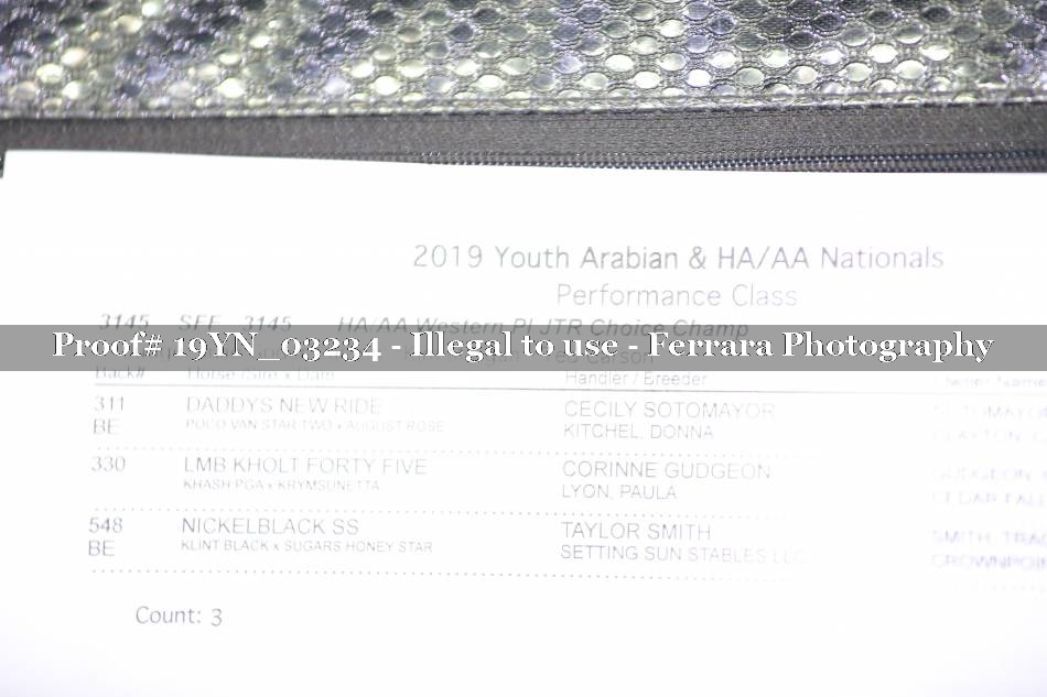 Proof 19YN_03234