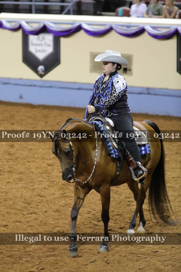 Proof 19YN_03242