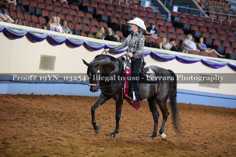 Proof 19YN_03254